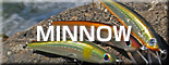 MINNOW