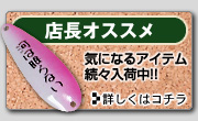 F-one��Ź��ǰ!!