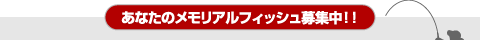 ���ʤ��Υ��ꥢ��ե��å����罸�桪��