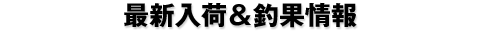 �ǿ����١���̾���